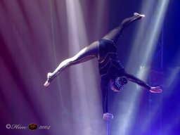 Circus Alex Kaisert am 1. Mai 2026